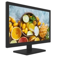 Монитор Hikvision DS-D5019QE фото 1